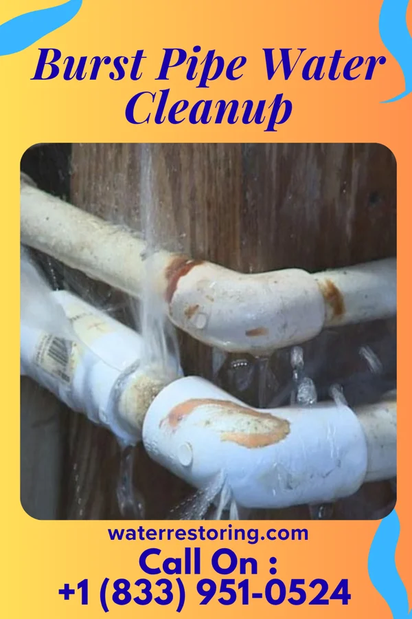 Burst Pipe Water Cleanup in Camden, IL