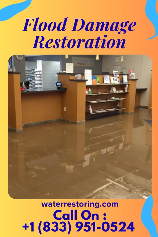 Flood Damage Restoration in Camden, IL