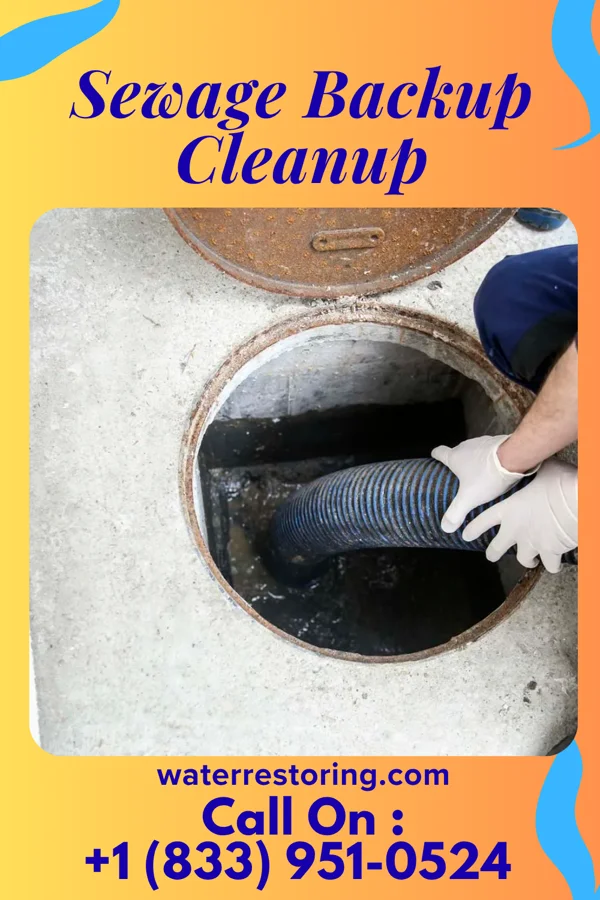 Sewage Backup Cleanup in Camden, IL