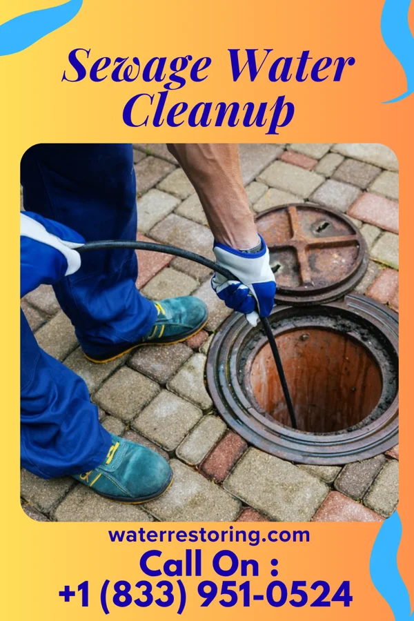 Sewage Water Cleanup in Camden, IL
